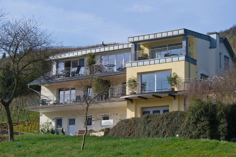 Ferienhaus Panorama Mosel Reil Extérieur photo