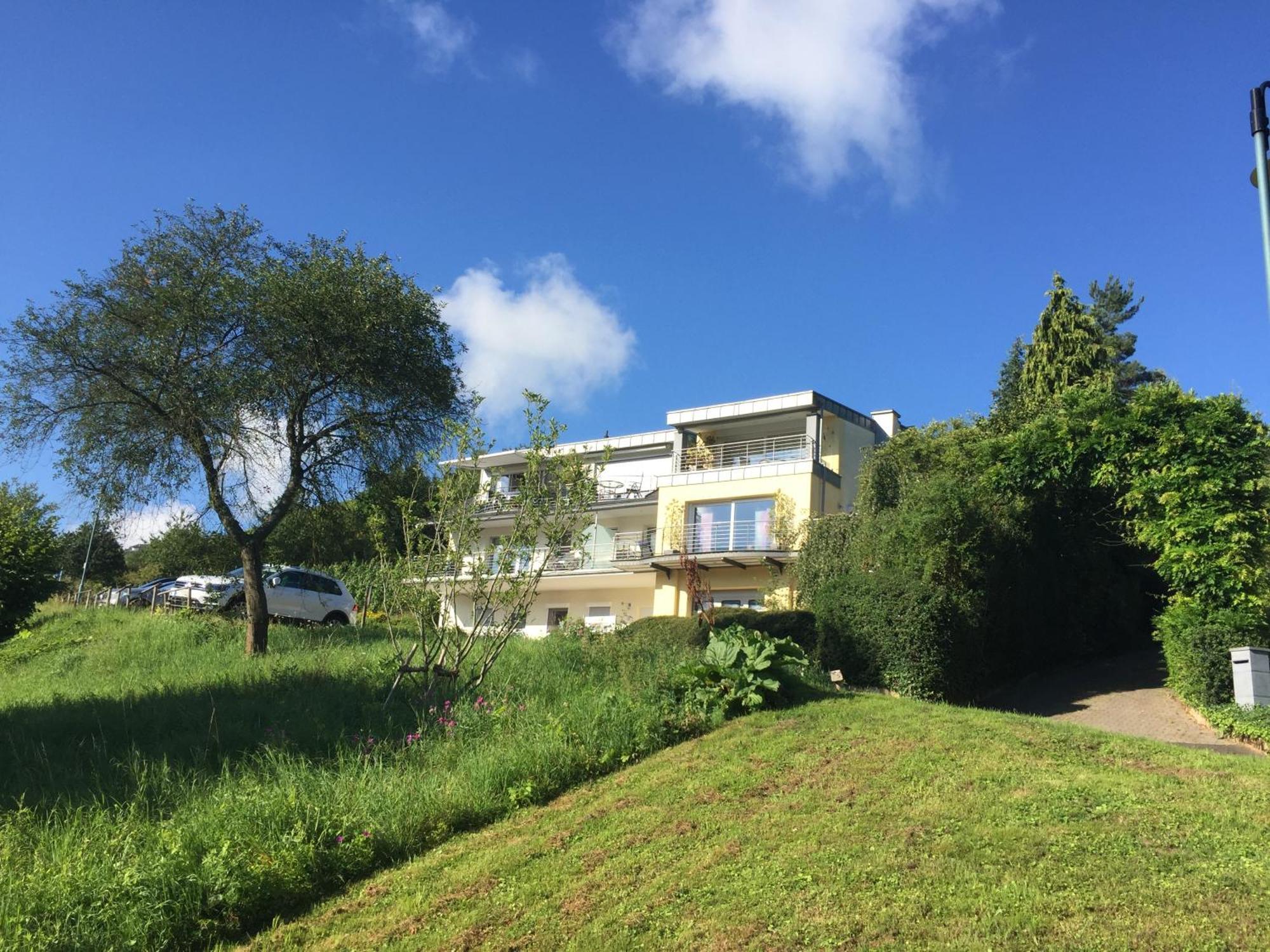 Ferienhaus Panorama Mosel Reil Extérieur photo